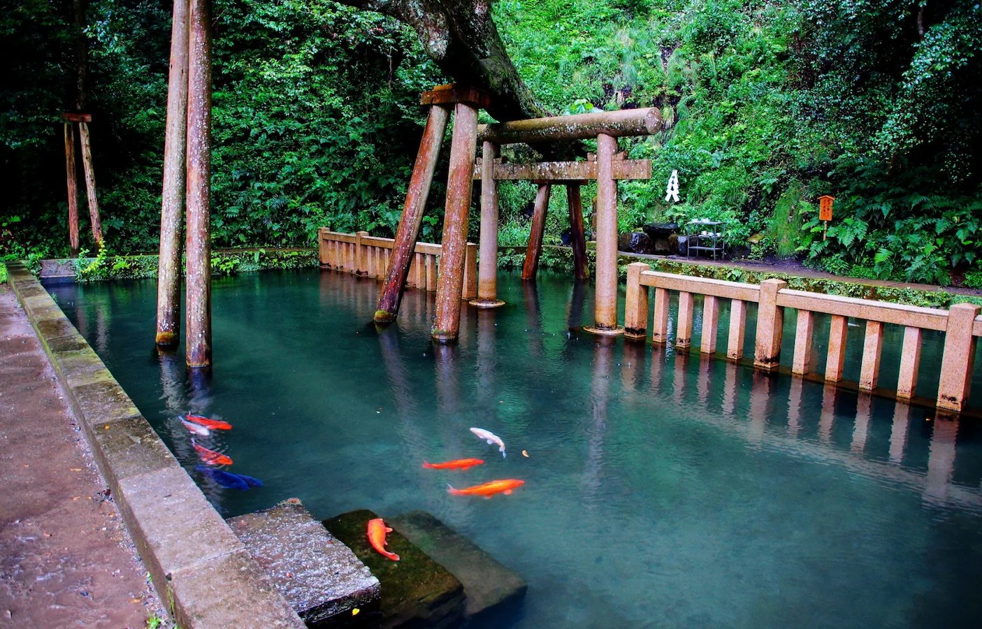 ⛩️ 사쿠라가이케 이케미야 신사 (櫻ヶ池 池宮神社)
